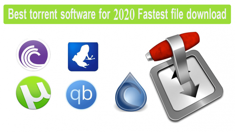 Torrent software downloading file downloads good kinds friendly because every any