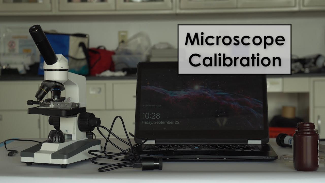 Amscope xampp bittorrent install bienvenida debug netbeans camera instalasi microscope simplemente informer