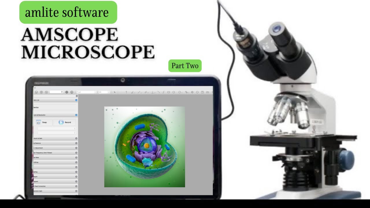 Amscope software